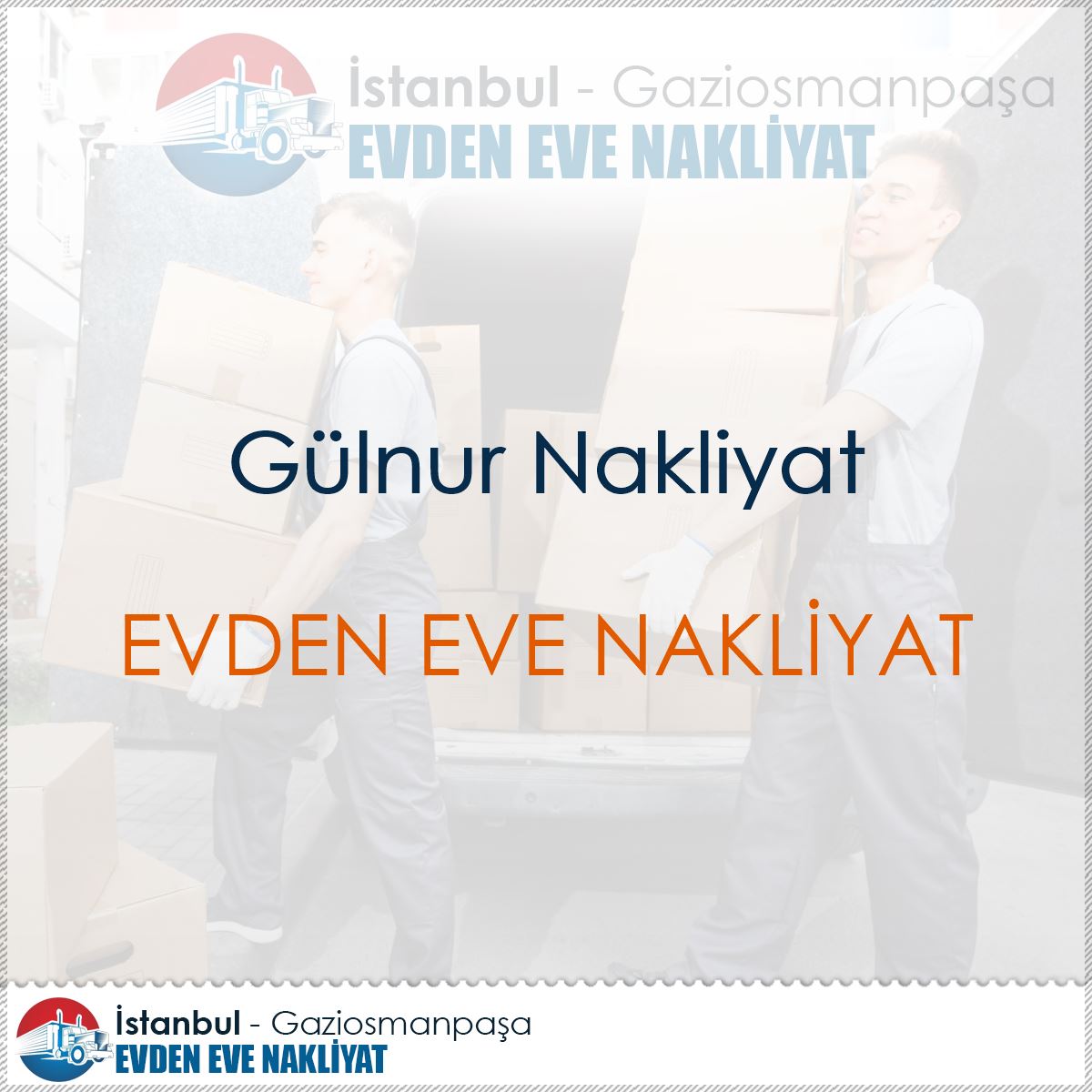 Gülnur Nakliyat : Kapak Görseli